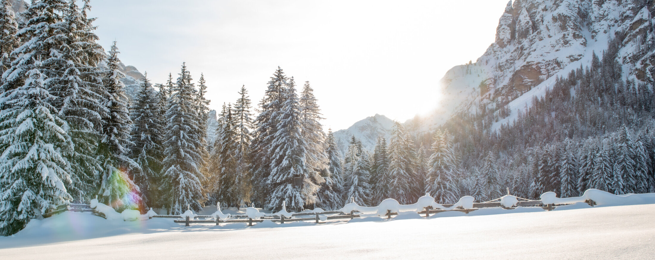 Schneebedeckte Kiefern und ein Holzzaun in einer sonnenbeschienenen Winterberglandschaft. - Camping Al Plan