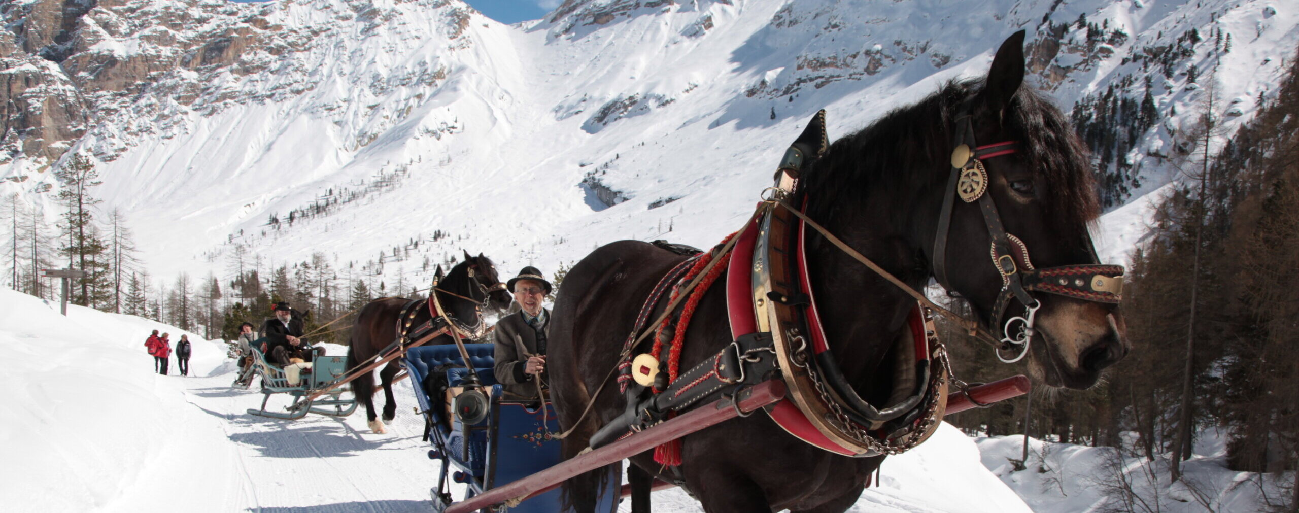 Zwei Pferde ziehen Schlitten mit Menschen durch eine verschneite Berglandschaft an einem hellen Wintertag. - Camping Al Plan