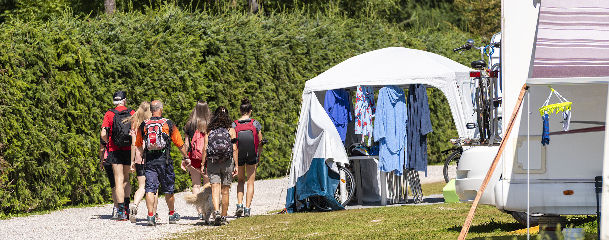 A group of people with backpacks walk past a tent and camper at a campsite on a sunny day. - Camping Al Plan