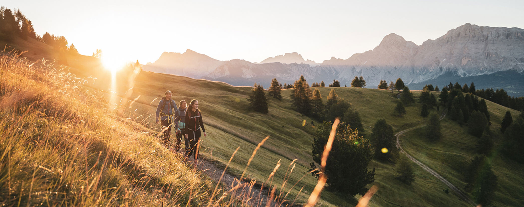 Dolomiten Panorama